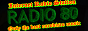 Логотип онлайн радио Радио 80