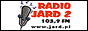 Логотип онлайн радио Radio Jard 2