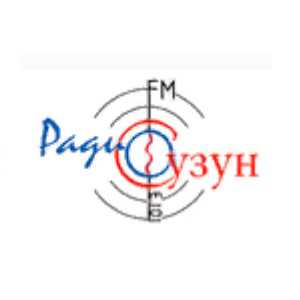 Лого онлайн радио Сузун ФМ