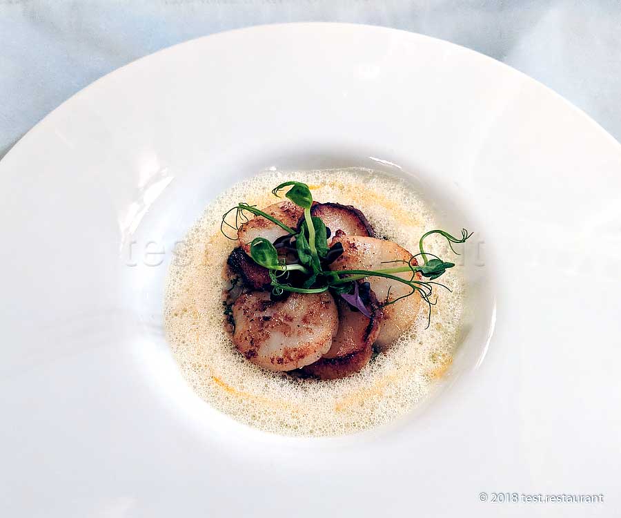 `Тар-тар из морского гребешка` в ресторане `31` - фото посетителя 1