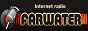 Логотип онлайн радіо Radio-Farwater-Blues