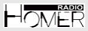 Логотип онлайн радіо Radio Homer