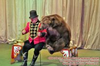 Дрессированный медведь в Уголке дедушки Дурова - фото