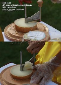 Специальный нож для сыра - фото
