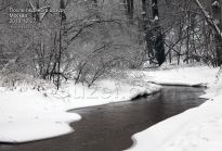 Речка Чертановка на лёгком морозе не замерзает - фото