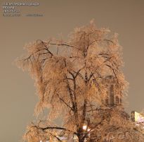 Дерево во льду на Пушкинской площади - фото
