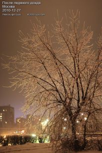 Ледяное или стеклянное дерево - фото