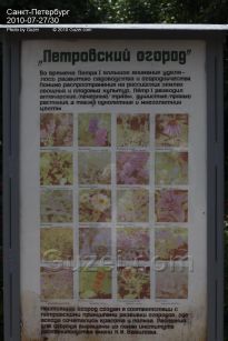 Табличка "Петровский огород" - фото