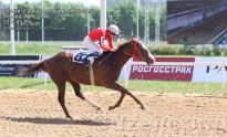 На втором месте был Магомет Каппушев на коне Азлак - фото