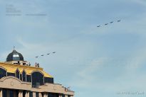 Самолёты летят на парад и смотровая площадка Новинского пассажа - фото